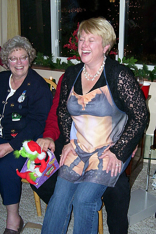 HOL2006bb