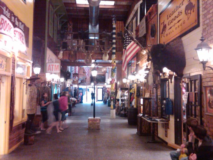 IMG00130-20110608-2036